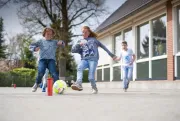 SP160 Pingelpaaltjes 1