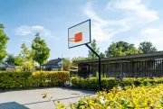 SP100 Basketbalpaal