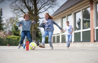 SP160 Pingelpaaltjes 1