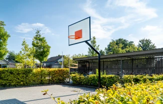 SP100 Basketbalpaal