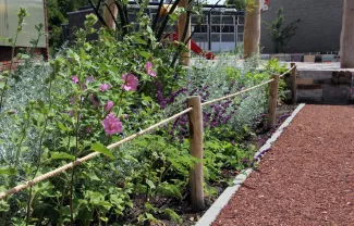 Plantvakbescherming 1