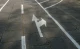 Verkeersparcours belijning 5