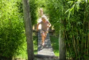 Junglebrug RS1500 1