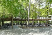 RS3800 Fietsstalling Wild Robinia 1