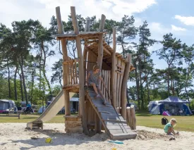 RS2010 Bosbengel met glijbaan 1