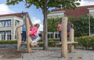 RS3008 Zitplek om boom 1