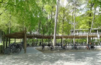 RS3800 Fietsstalling Wild Robinia 1