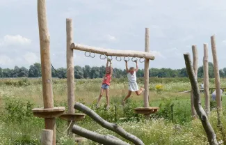 RS4211 Speelstructuur 1