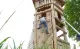 RS2560 Speeltoren 3