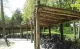 RS3800 Fietsstalling Wild Robinia 2