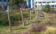 RS4111 Balanceerstructuur 3