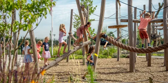 Schoolplein Brede School Tholen 4