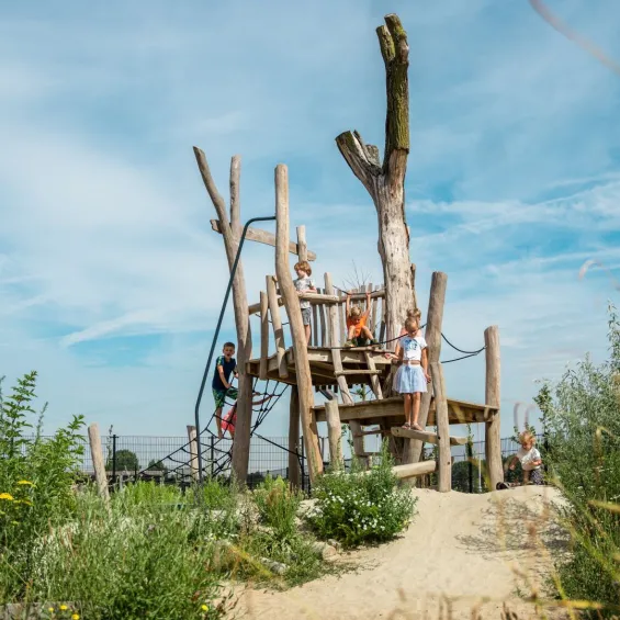 Schoolplein Brede School Tholen 6