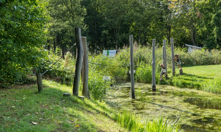 Speelplek Gouwe Bos 8