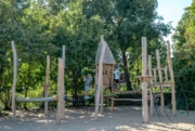 RS4660 Jungle 1 bijgesneden