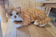 Kat 1