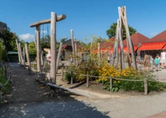 Schoolplein Eben Haezerschool 1