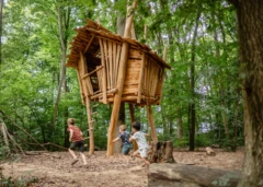 Project Speelplek Ganzenbos 81