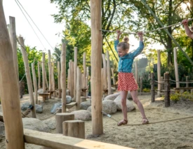 Burgers zoo project 1