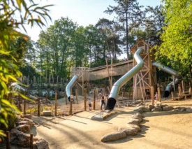 Burgers zoo project 6