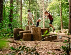 Project Speelplek Ganzenbos 50