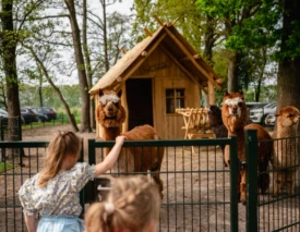 Project Sanjes Safari beurstoestel 1