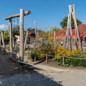 Schoolplein Eben Haezerschool 1