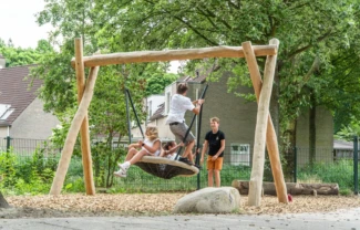 RS1001 Nestschommel 1