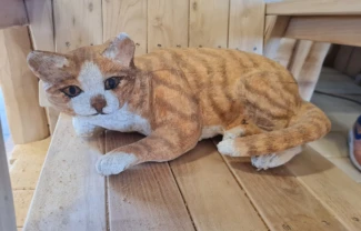 Kat 1