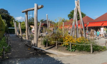 Schoolplein Eben Haezerschool 1