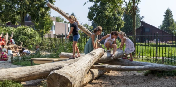 IKC Holthuis 3