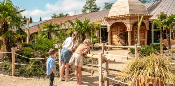 Sanjes Safari 14