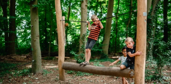 Project Speelplek Ganzenbos 15