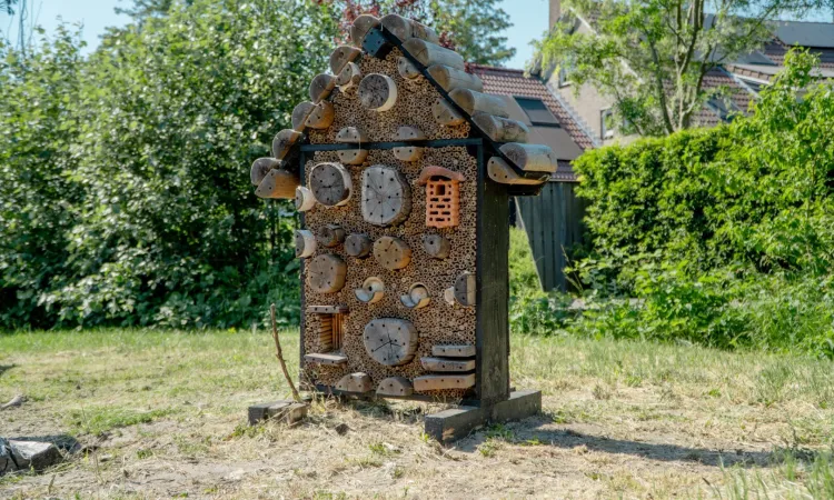 Steenbakker 8