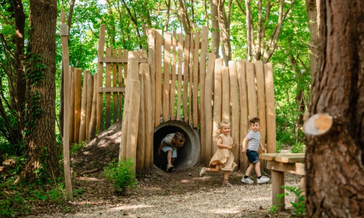 CJM22073 2 Groot