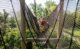 RS1580 V brug 1